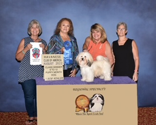 Show Winners