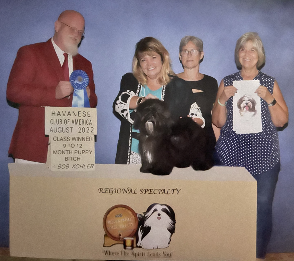 Los Arriba I’ll take mine black.. aka Hannitee ( Hanitee needs one point for her akc championship)